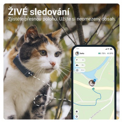 Rozbalené: GPS lokátor pre mačky Tractive GPS CAT Mini